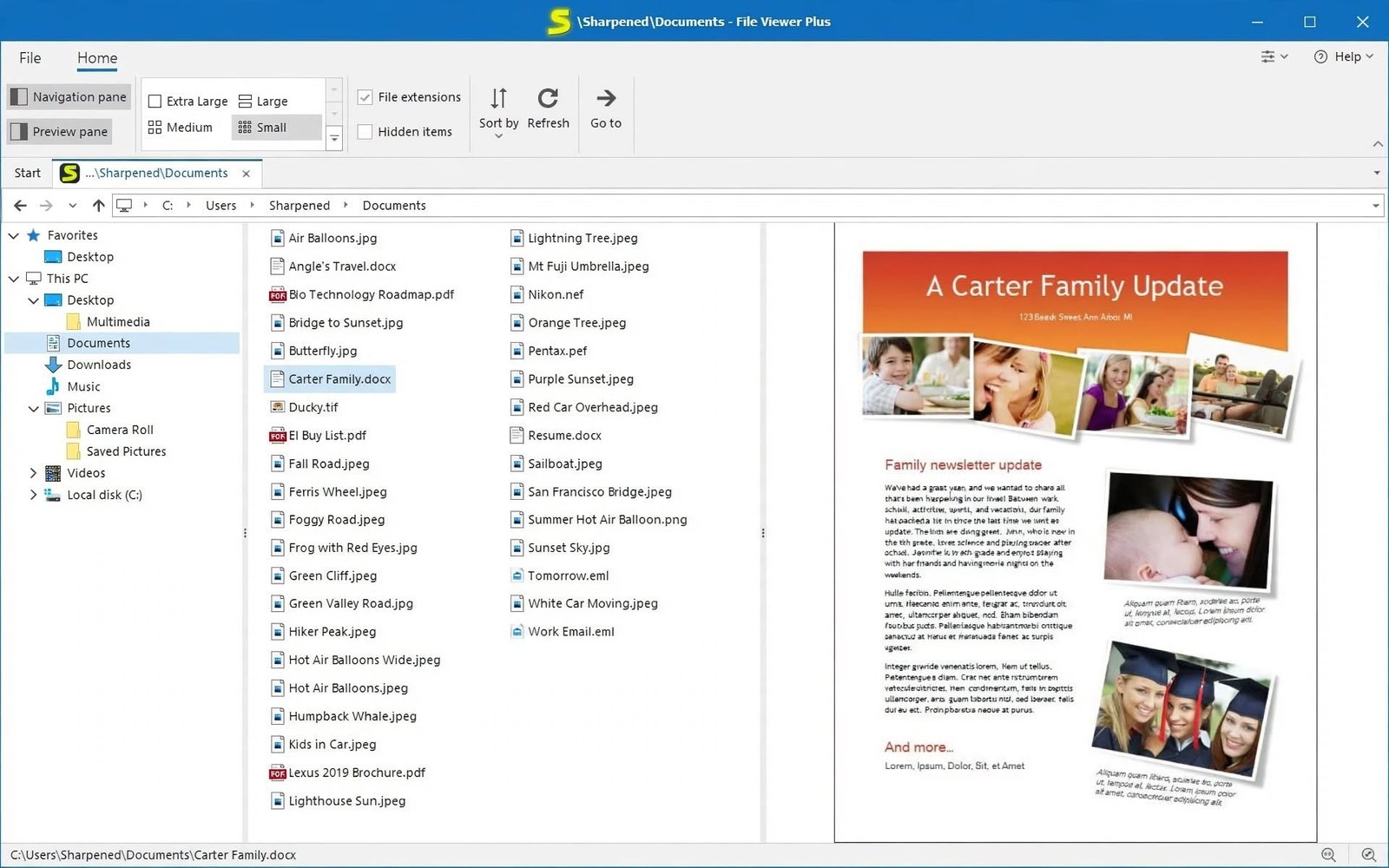 File Viewer Plus running on a Windows PC