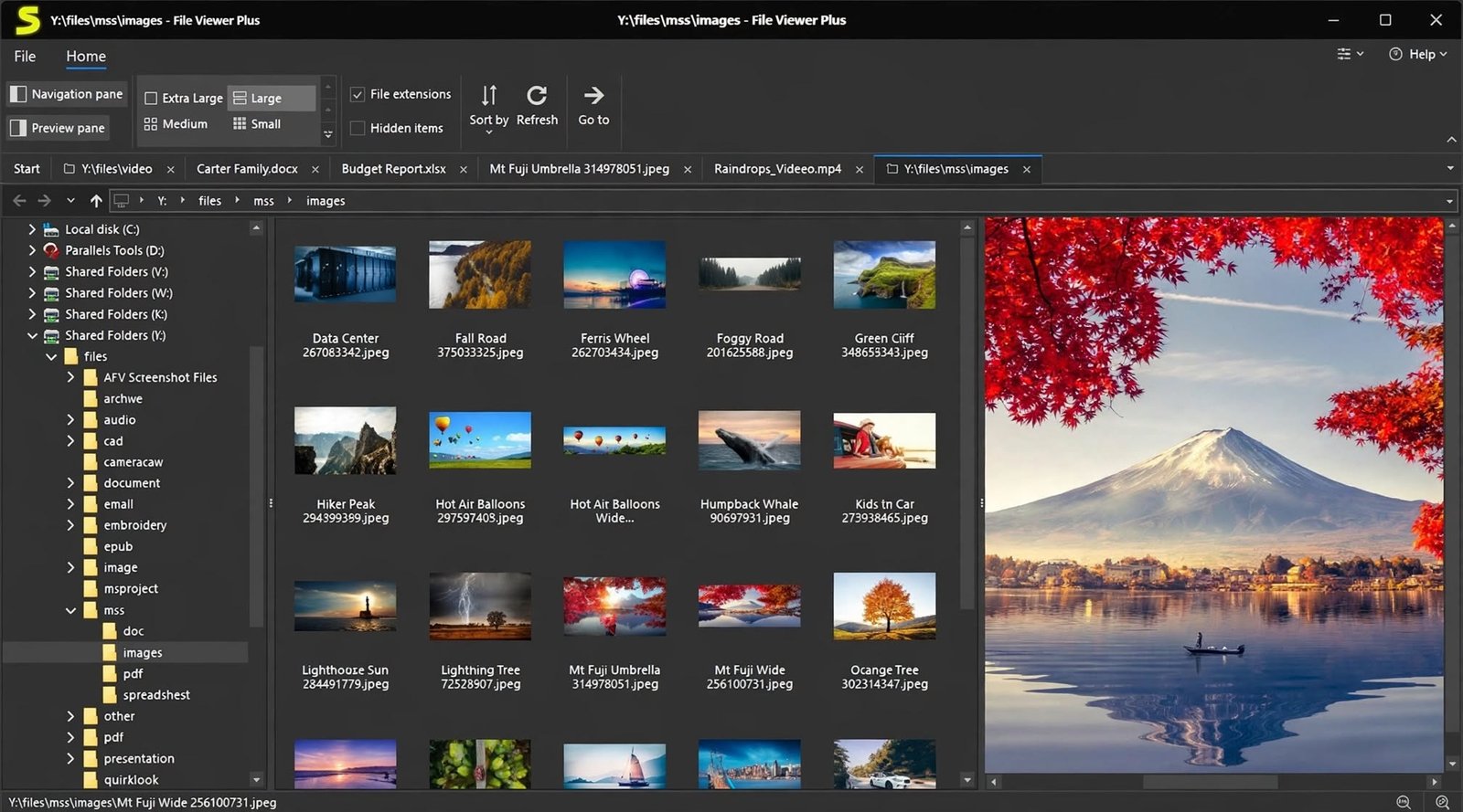 File Viewer Plus download page