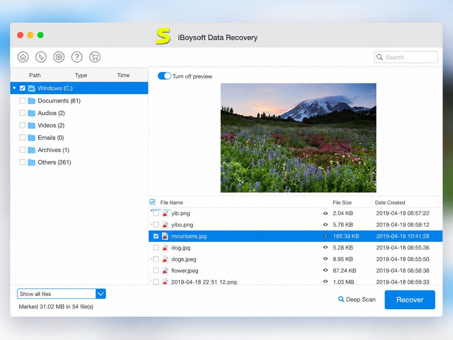 iBoysoft download page overview